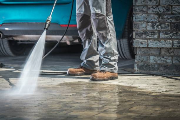 Best Spring Cleaning  in Farmer City, IL