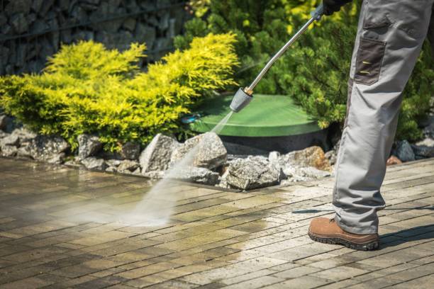 Best Sidewalk and Walkway Cleaning  in Farmer City, IL